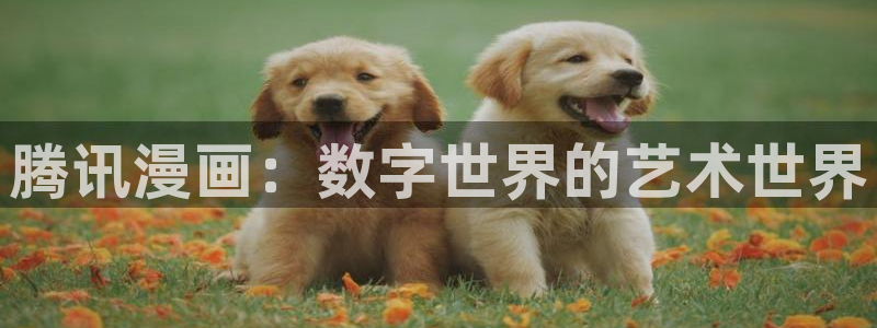 食戟之灵第五季虫虫漫画：腾讯漫画：数字世界的艺术世界