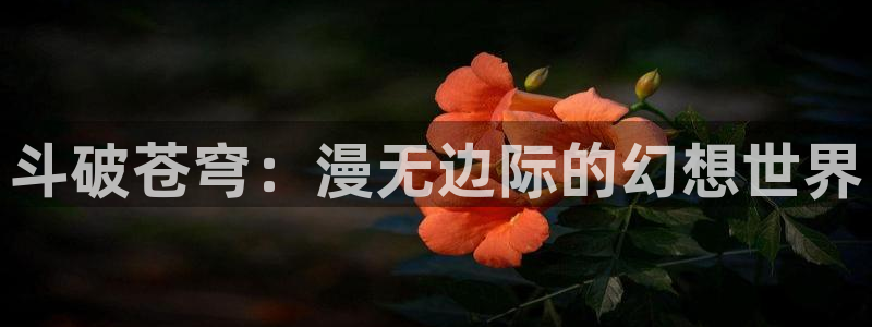 虫虫漫画官网是哪个网站：斗破苍穹：漫无边际的幻想世界