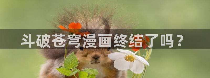 无颜之月虫虫漫画全集：斗破苍穹漫画终结了吗？